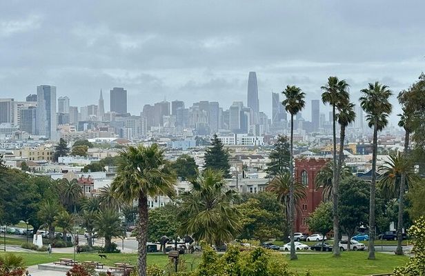 3hr Private SF City Tour In Electric VW Van