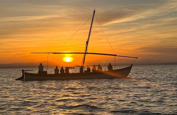 From Valencia: Albufera Boat Ride & Food (Paella) Included
