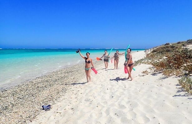 Ningaloo In A Full day Hike and Snorkel Tour