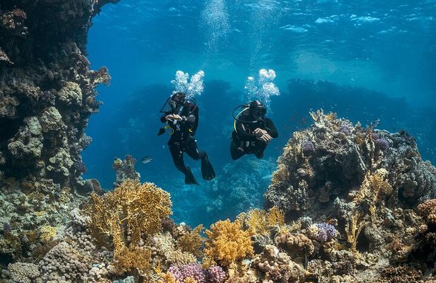 Scuba Adventure (Double Tank) – Reefs, Wrecks & Caves of Paros