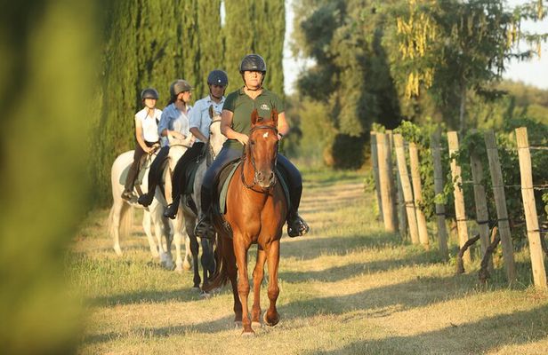 Horseback Ride and Wine Tasting Adventure