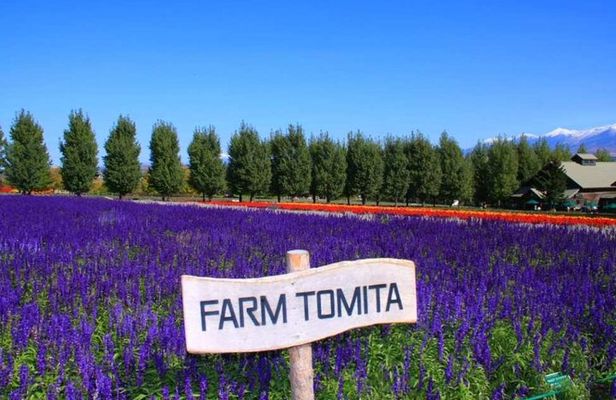Hokkaido Farm Tomita Shikisai Hill Waterfall& Blue Pond Day Tour
