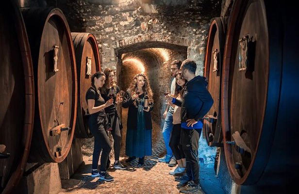 Novisad Ethnic Village Serbian Wine Tasting Tour