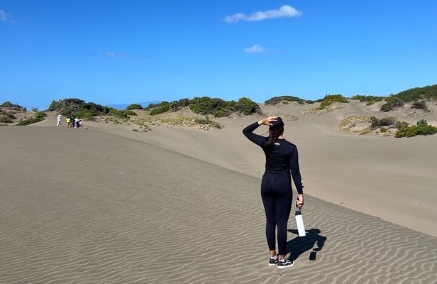 Dunes Snorkeling Tour Outside Santo Domingo 