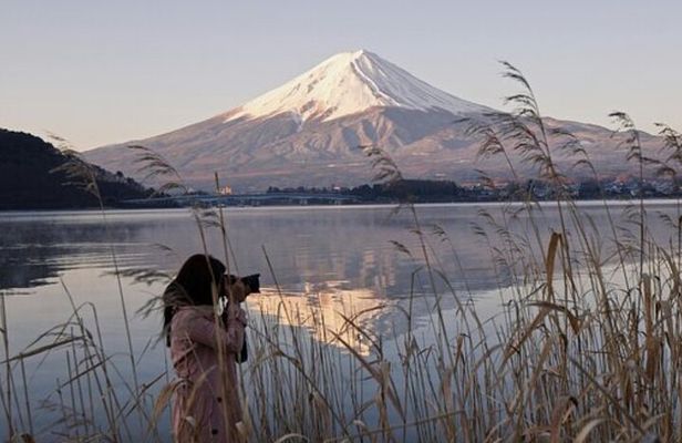 Mount Fuji Private Tour by Car