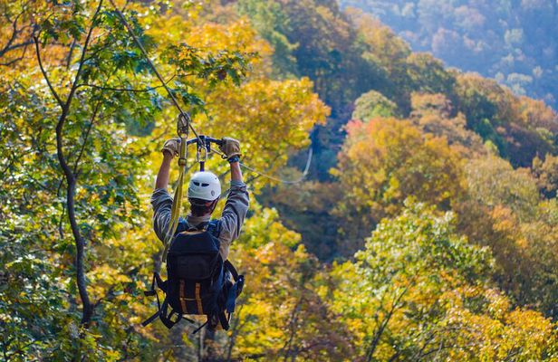 Epic Zipline Canopy Tour - The Gorge Zipline: Saluda, NC