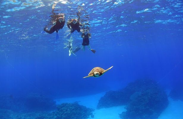 Discover Kerama Nationalparc Snorkeling 1/2 Day 1 FreeBanana Boat