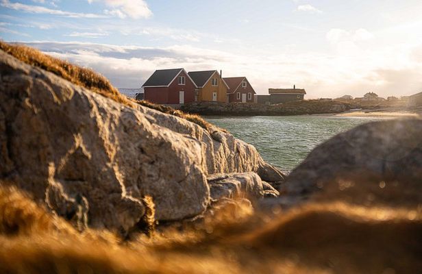 Fjord Tour with Minivan