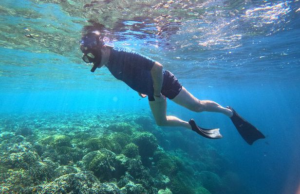Snorkeling at Menjangan Island Bali Hidden Underwater Gem