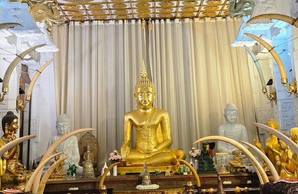 Kandy Full Day Tour Private All Inclusive 