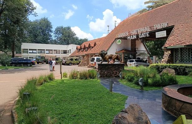 Nairobi National Park & Giraffe Center : Afternoon Game Drive