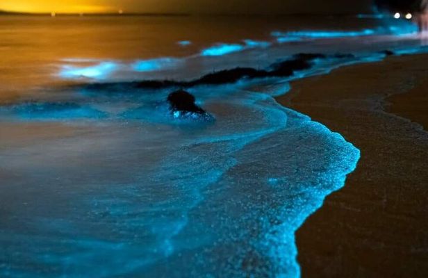 Bioluminescent Plankton, Sea Canoes & Sunset at James Bond Island