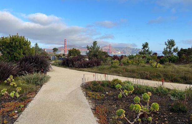 Iconic San Francisco Urban Hiking Tour