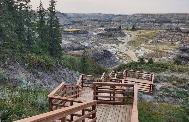 1 Day Drumheller Private Minibus Dinosaurs Hoodoos Bridges Canyon