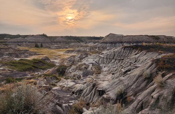 1 Day Guided Badlands Tour of Drumheller Dinosaurs Canyons Hoodoo