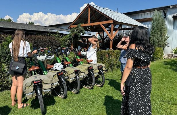 Kelowna E-Bike Bee Tour, Tastings, Organic Lunch & Audio Guide