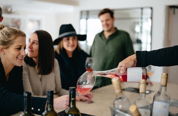 Hunter Valley Boutique Wine Tour with 3 Tastings | From Sydney