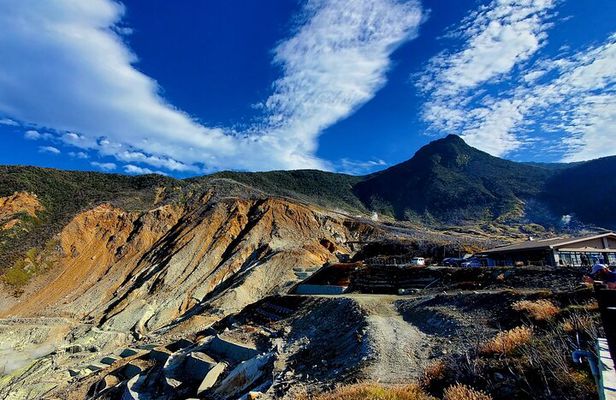 Hakone Full-Day Private Tour from Tokyo (Customizable)