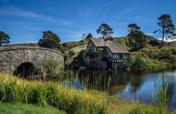 5-Day Best of the North Island from Auckland