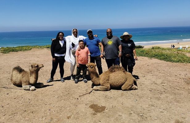 Private Tour of Tangier: Exploration and Camel Ride Included 