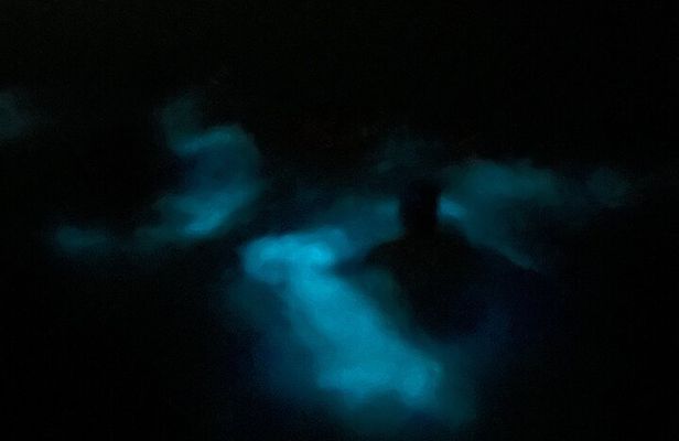 Mystic Waters A Bioluminescent Night Tour