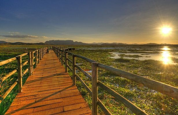 Palo Verde National Park - a wild taste of Costa Rica