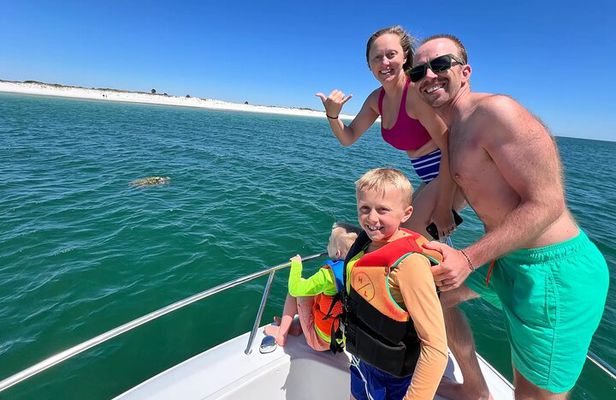Private Swim with Dolphins And Snorkeling Tour