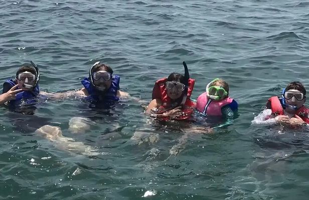 Swim with Dolphins And Snorkeling Group Tour