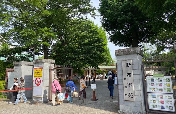 Discover the History of Shinjuku Gyoen – Private Walking Tour