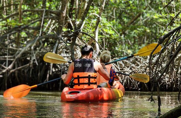Phuket Deep Roots Jungle to Sea Kayaking and Trekking Adventure