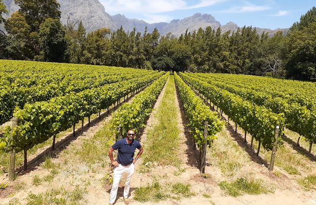 Private Cape Town Wine Tour 3 Tastings, Lunch and Expert Guide
