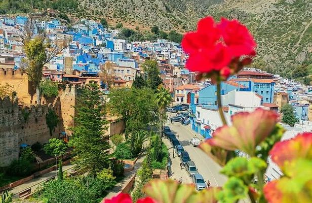 Chefchaouen Private Tour from Tangier One Full Day! 