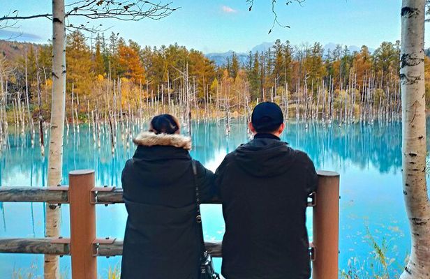 Asahiyama Zoo, Shirahige Falls, Biei, and Blue Pond Day Tour