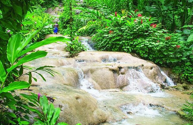 Ocho Rios Private Guided Tour with Transportation
