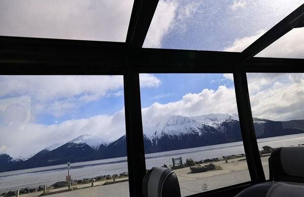 Private Wildlife, Glacier & Gold Panning (Panoramic Van – Max 9)