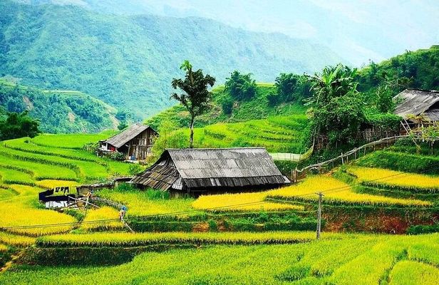 Sapa Cultural Trek with Homestay Options 1 to 3 Days