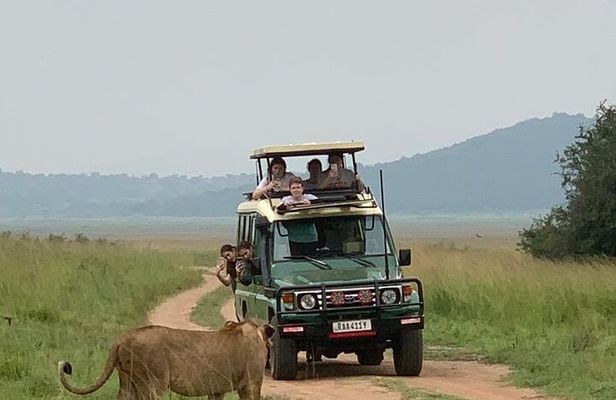 Kigali to Akagera National Park