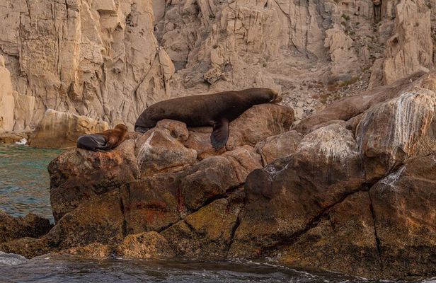 Boat Tour Snorkeling Tour with Guide, Drinks and Fruit
