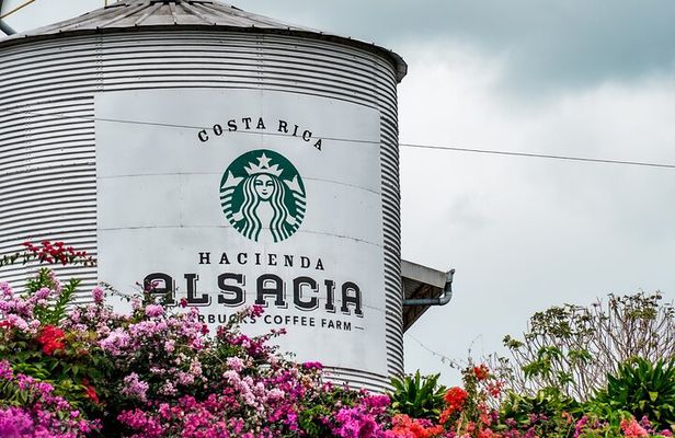 Hacienda Alsace, La Paz Falls and Local Craft Tour