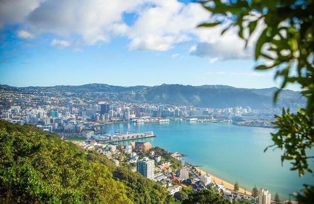 PRIVATE Wellington Half Day Tour including Cable Car