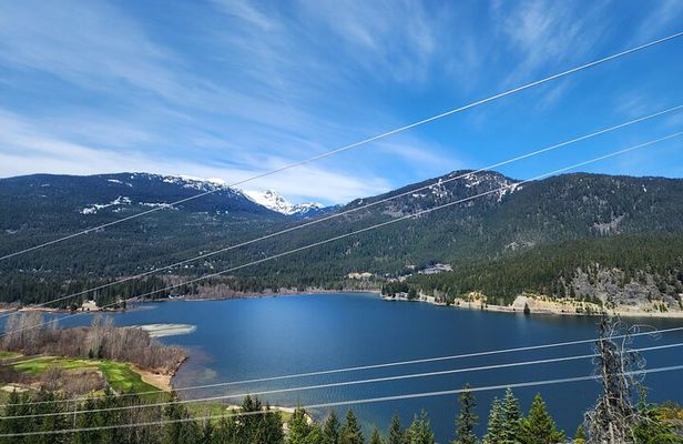 Mountain Breeze Tour - Mountain E Bike - Whistler Marmot Activity