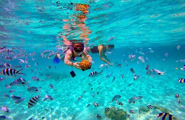 Mauritius Private Boat Tour with Skipper