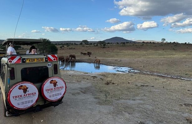 Mombasa Private 3-Day Tsavo East Safari