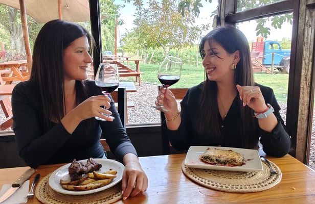 Mendoza Winery Tour with Olive Trees in Private Service