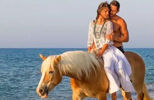 Aqua Fun Tours Dunns Falls, River Tubing and Horse Back