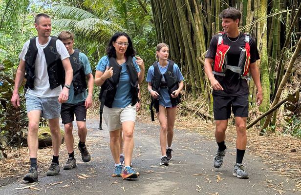 Small Group El Yunque Half Day Tour with Transport: Waterslide