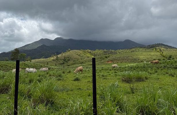 (Self-Drive) El Yunque Tour / 2PM to 5PM