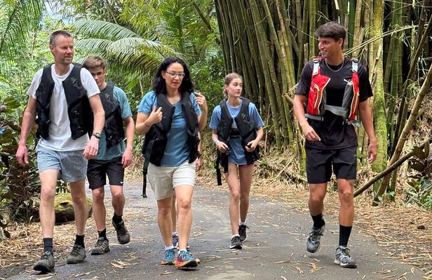 Half Day El Yunque Tour, Waterslide and Rope Swing