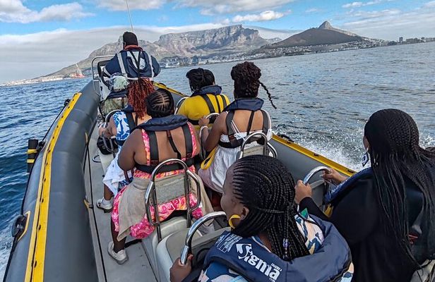 1 Hour Cape Town Ocean Safari 