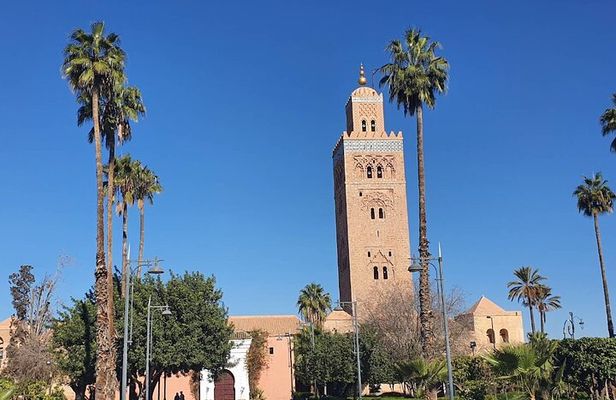 Majorelle Garden & City Tour: Old and New Marrakech by Car 